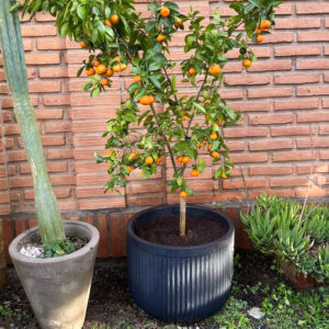 Macetero Flute Planter Grís Oscuro