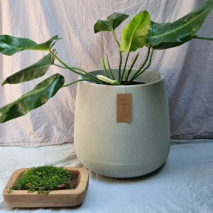 Macetero Bio Planter Crudo