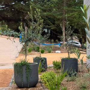 Macetero Cask Planter Grafito L