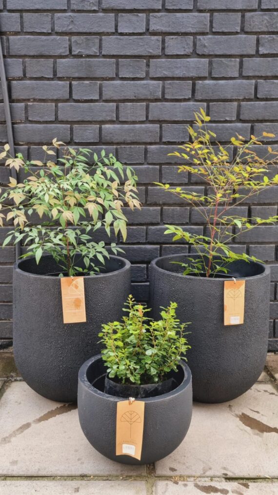 Macetero Cask Planter Grís Oscuro M - Imagen 2