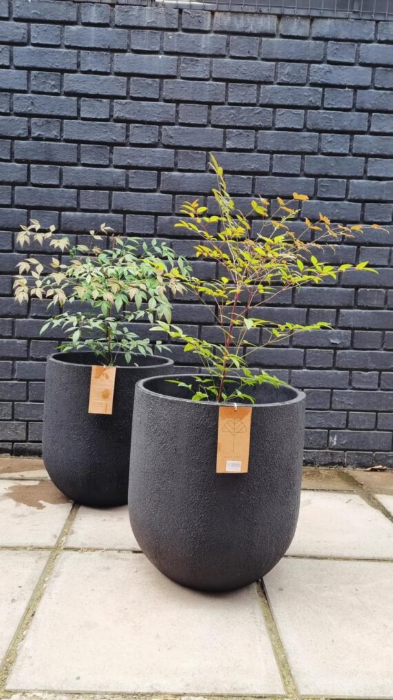 Macetero Cask Planter Grís Oscuro M - Imagen 4