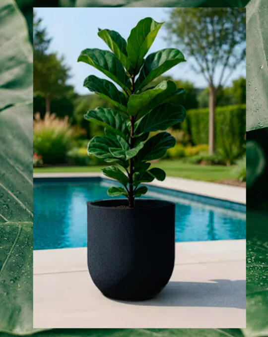 Macetero Cask Planter Grís Oscuro M