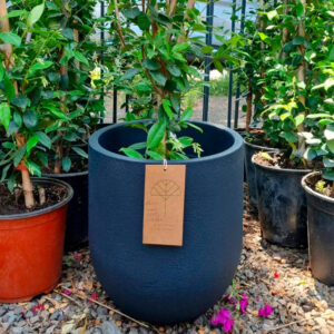 Macetero Cask Grís Oscuro S